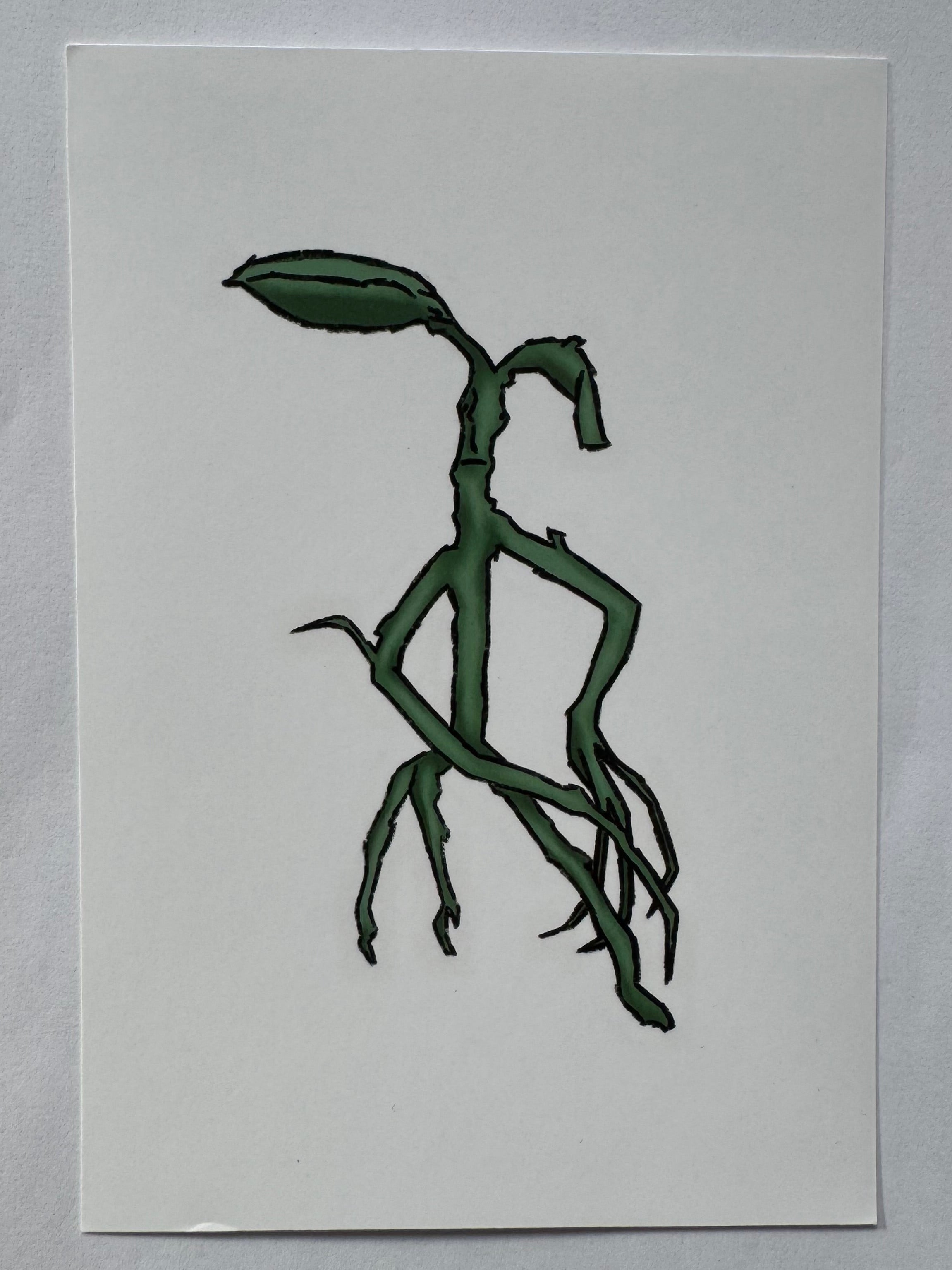 Pickett Print